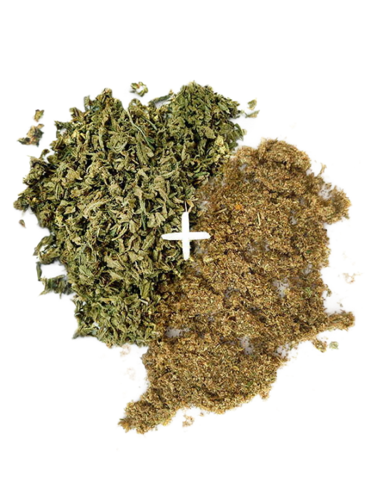 CHOCOLATE MINT SHAKE + KIEF Bundle